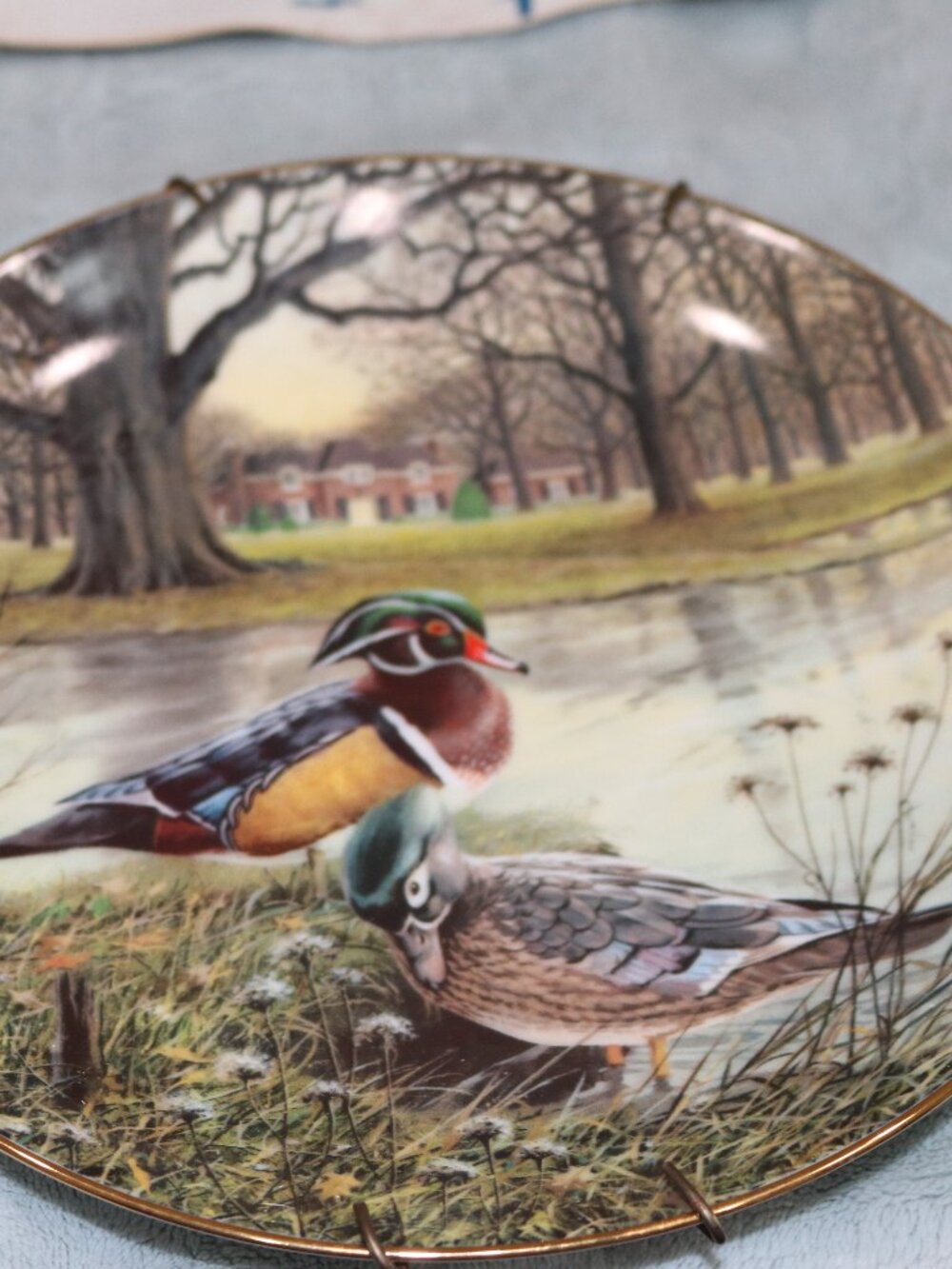 The Bradford Exchange vintage 1987 "The Wood Duck" collector's plate.